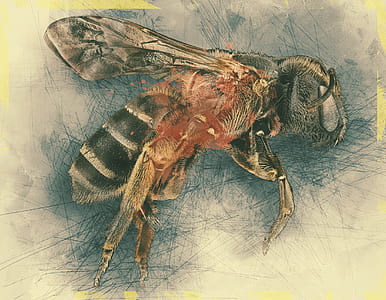 black bee painting thumbnail