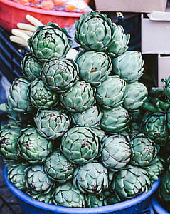 close-up photo of green artichokes during daytime thumbnail