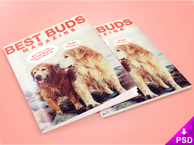 Magazine Cover Mockup psd file