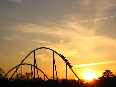 roller coaster over tree thumbnail
