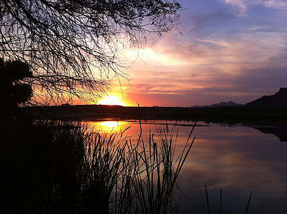silhouette of grass near body of water during golden hour thumbnail