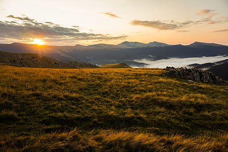 Brown Grass Field during Golden Hour thumbnail