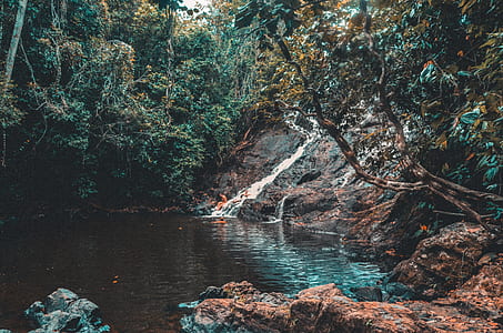 time lapse photo of flowing body of water during daytime thumbnail