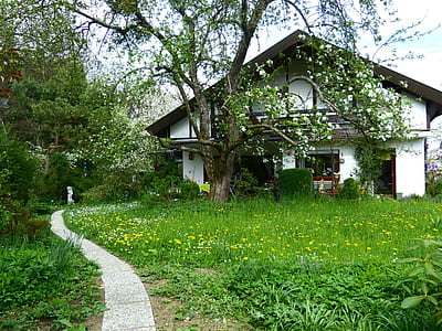 white house near trees photo thumbnail