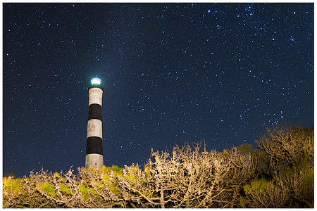 low angle photo of white and black lighthouse taken at nighttime thumbnail