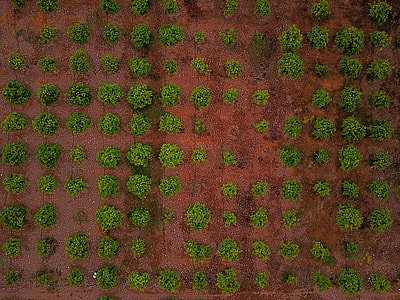 aerial photography of crop land thumbnail