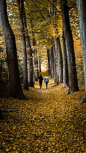 two person walking into the woods thumbnail
