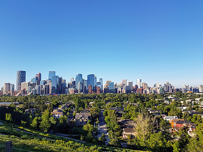 aerial view of cityscape near trees thumbnail