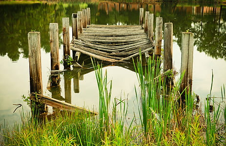 broken brown wooden dock near body of water thumbnail