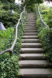 beige concrete staircase surrounded by plants thumbnail