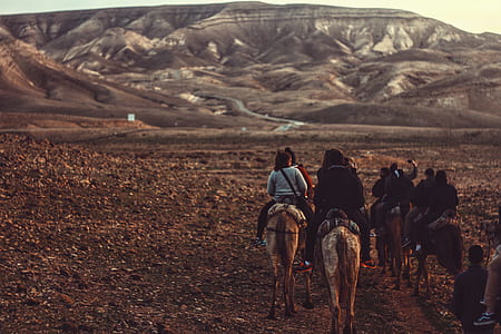 group of people riding on horse during daytime thumbnail