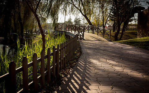 bridge surrounded by trees thumbnail