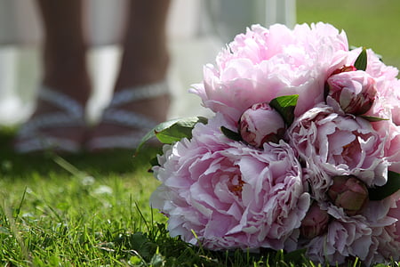 selective focus photography of bundle of pink flowers on the groud thumbnail