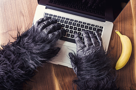 person's wearing gorilla suit using laptop besides yellow banana on top of brown table thumbnail