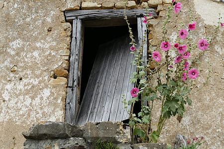 door, entrance, expired, neglected, broken, wall thumbnail