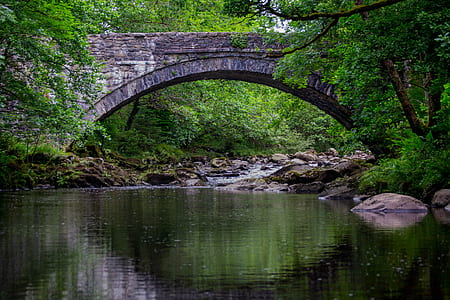 gray arch bridge in between green trees thumbnail
