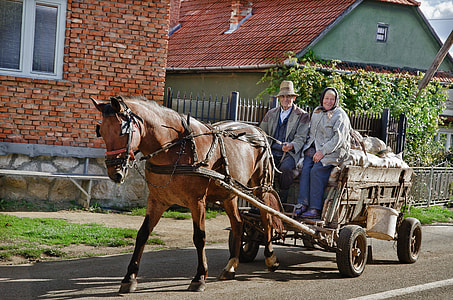 man and woman riding carraige during day time thumbnail