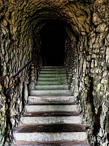 photography of concrete stair in tunnel thumbnail