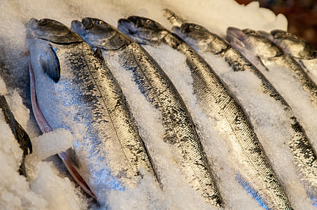 salted salmon fish close-up photo thumbnail