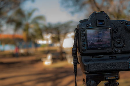 Person Using Black Dslr Camera thumbnail