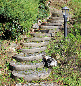 photo of stairs beside outdoor post lamp thumbnail