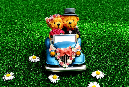bear coupe riding vehicle figurine on grass thumbnail