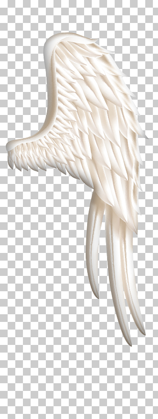 Bird Wing Icon, White Wings material, white wings PNG clipart
