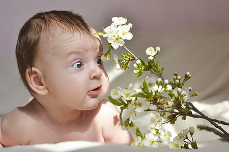 photography of baby beside white petaled flowers thumbnail