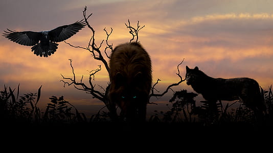 silhouette photography of pack of wolves and flying eagle thumbnail