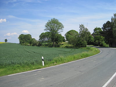 road between green leaf trees thumbnail