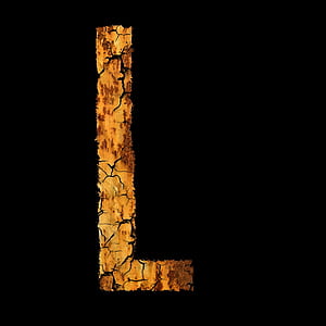 brown and black L letter thumbnail