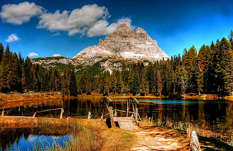green leafed trees beside body of water thumbnail