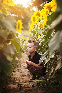 boy wearing black shirt sitting beside sunflower flowers thumbnail