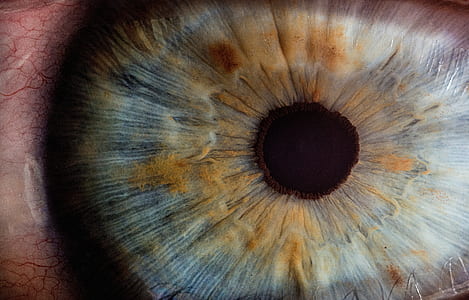 human eye in-close up photography thumbnail
