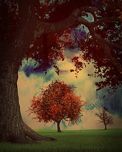 trees at the field during day thumbnail