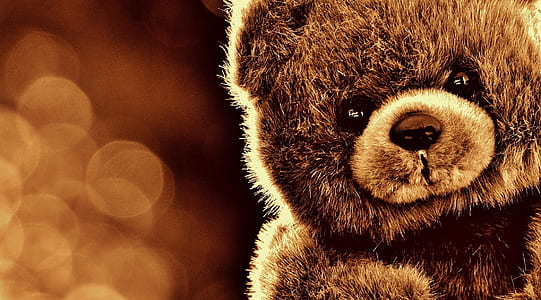 shallow focus photography of brown bear plush toy thumbnail