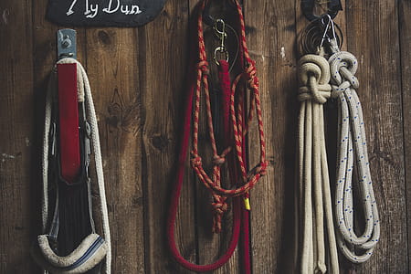 Four Ropes Hanged on Brown Board thumbnail