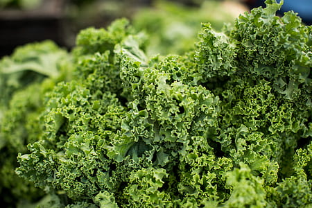 veggie leaves thumbnail