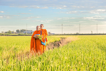 landscape, people, field, countryside thumbnail