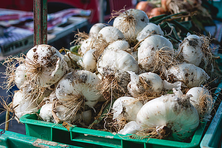 Dirty garlic on a market thumbnail