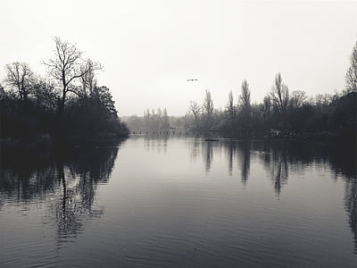 landscape photography of lake thumbnail