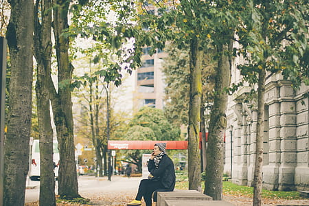 person sitting on bench under tree thumbnail