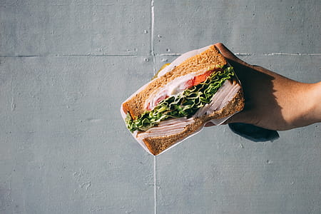 Hand Holding Bread Sandwich thumbnail