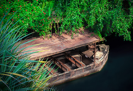 brown wooden board near body of water surrounded by trees thumbnail