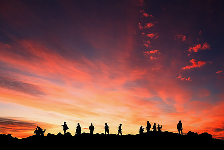 silhouette photography of people thumbnail