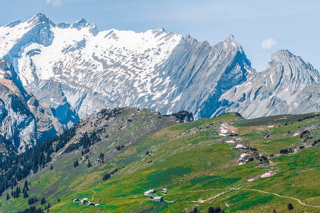 green grass field at the foot of snow covered mountain thumbnail