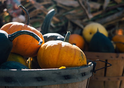 tilt shift photography of pumpkins in basket thumbnail