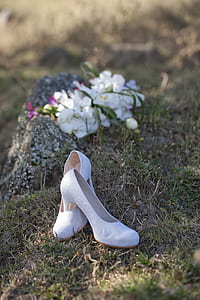 landscape, nature, field, flowers thumbnail