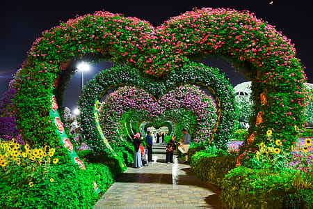 Heart-shaped Pink and Purple Flower Garden thumbnail