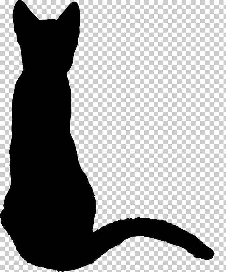 Page 7 Drawing Kitten Png Cliparts For Free Download Uihere